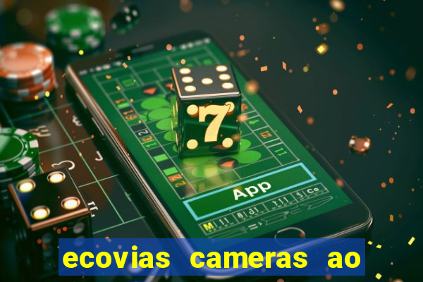 ecovias cameras ao vivo santos